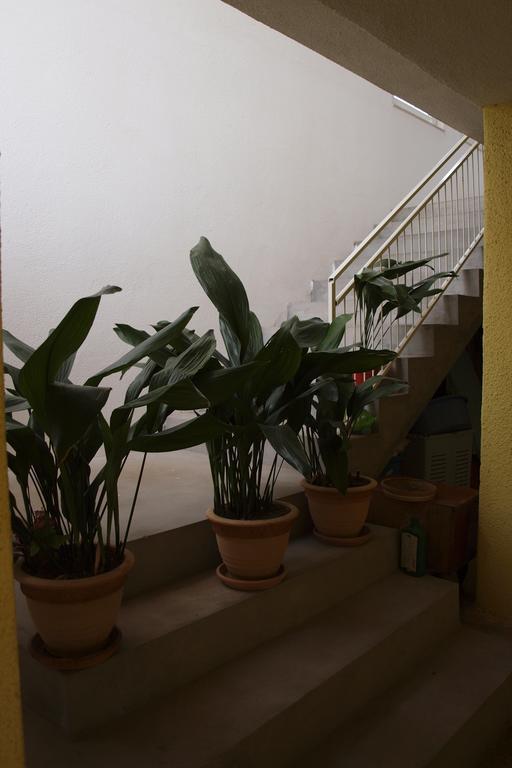 Apartments Viktorija Starigrad Paklenica Zewnętrze zdjęcie